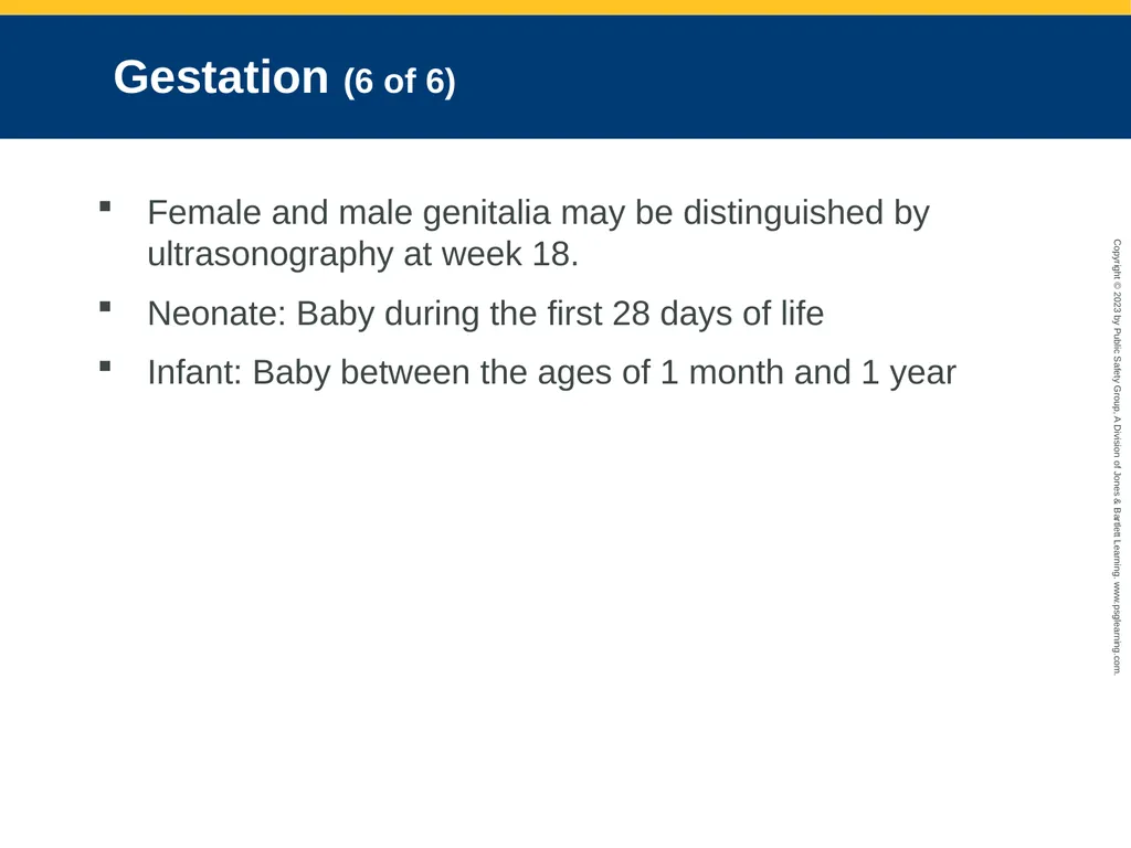 Obstetrics and Neonatal Care CHAPTER 35: Focused - slide 18 of 126