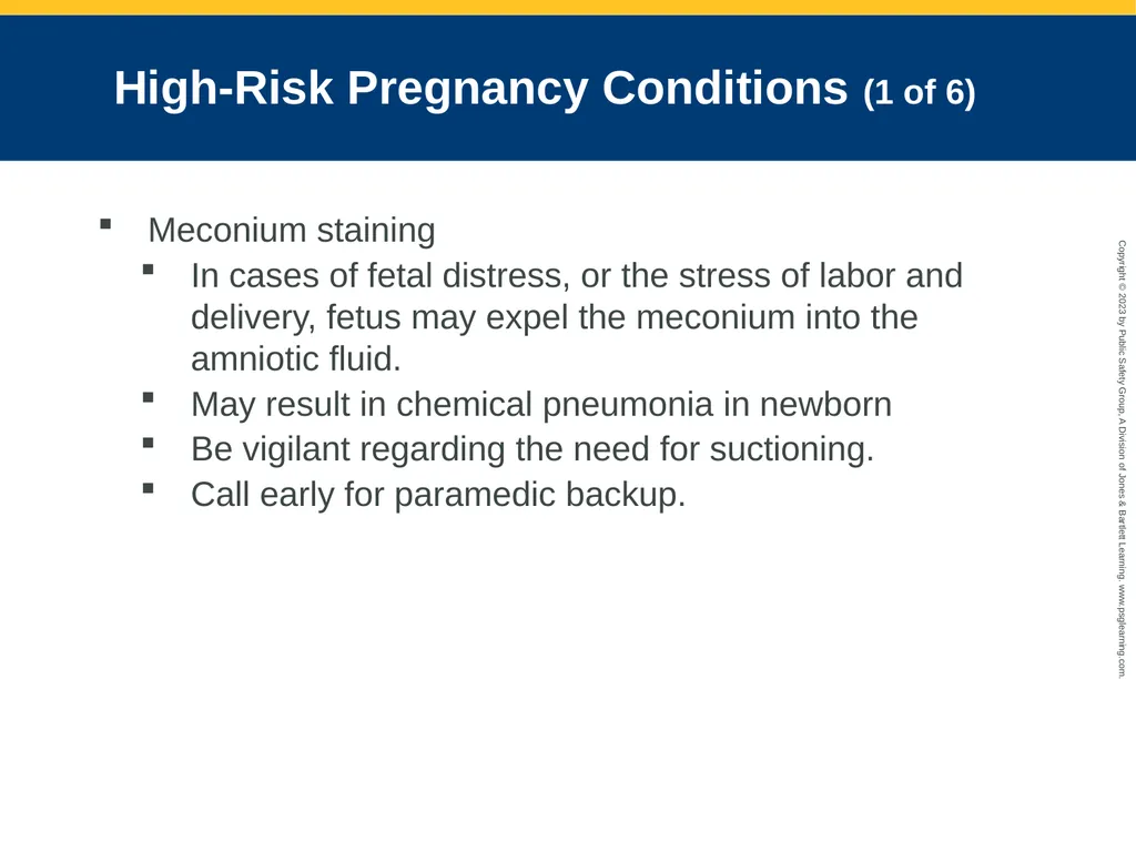 Obstetrics and Neonatal Care CHAPTER 35: Focused - slide 87 of 126