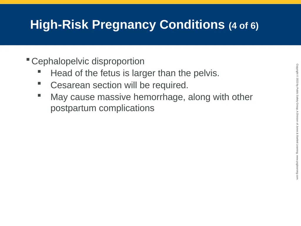 Obstetrics and Neonatal Care CHAPTER 35: Focused - slide 90 of 126