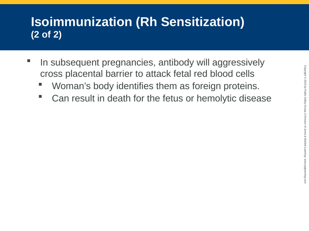 Obstetrics and Neonatal Care CHAPTER 35: Focused - slide 38 of 126
