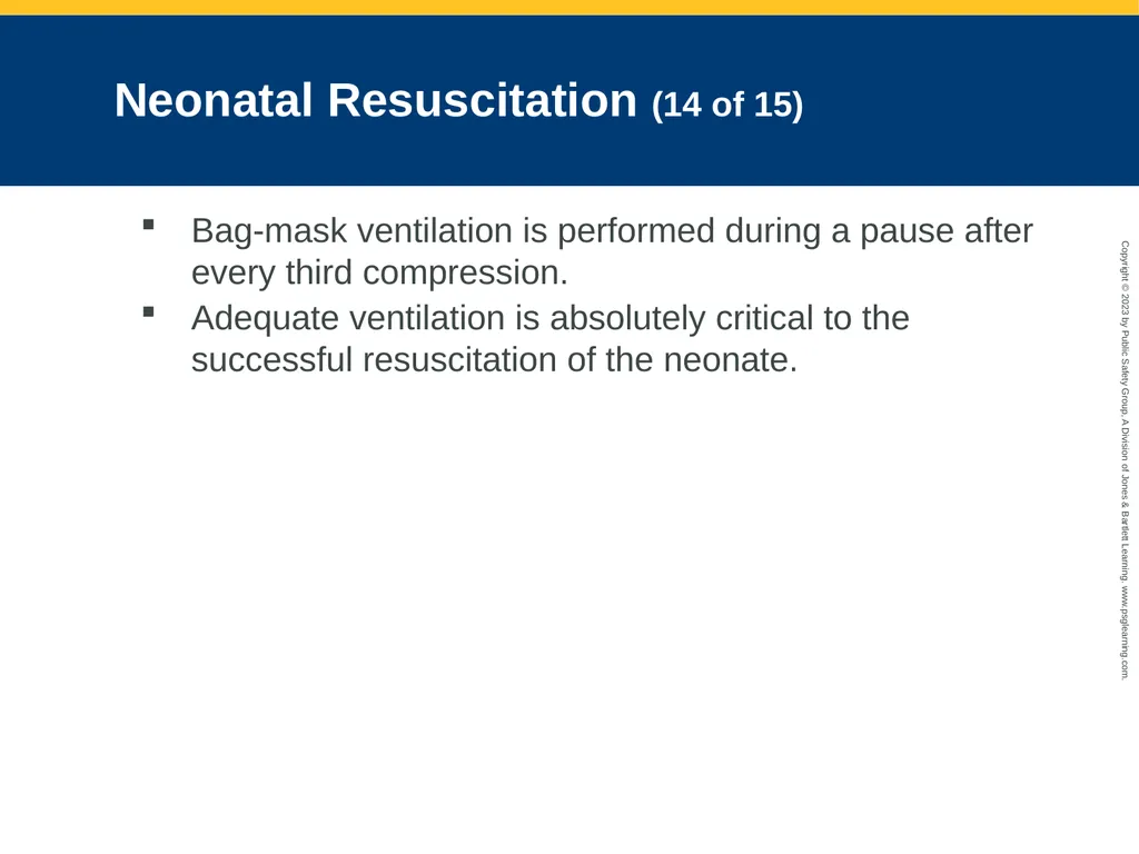 Obstetrics and Neonatal Care CHAPTER 35: Focused - slide 118 of 126