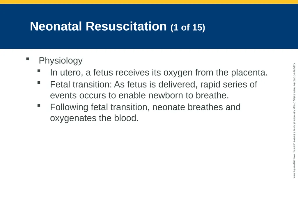 Obstetrics and Neonatal Care CHAPTER 35: Focused - slide 105 of 126