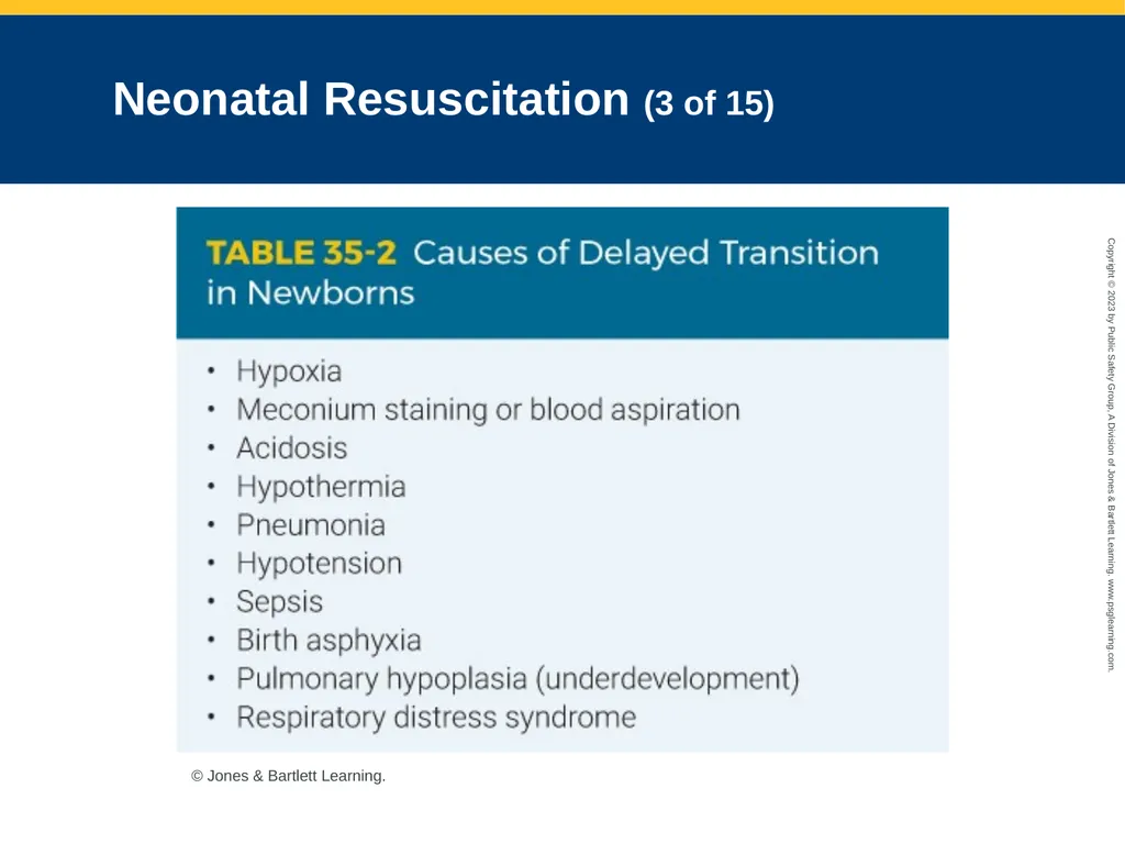Obstetrics and Neonatal Care CHAPTER 35: Focused - slide 107 of 126