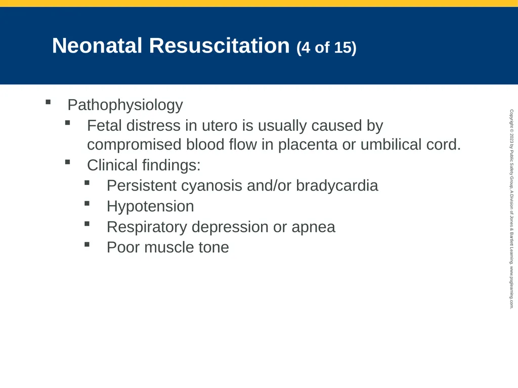Obstetrics and Neonatal Care CHAPTER 35: Focused - slide 108 of 126