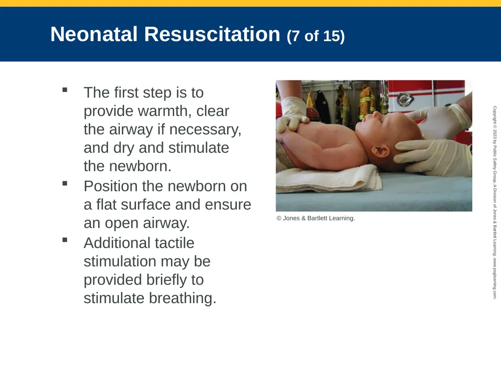 Obstetrics and Neonatal Care CHAPTER 35: Focused - slide 111 of 126