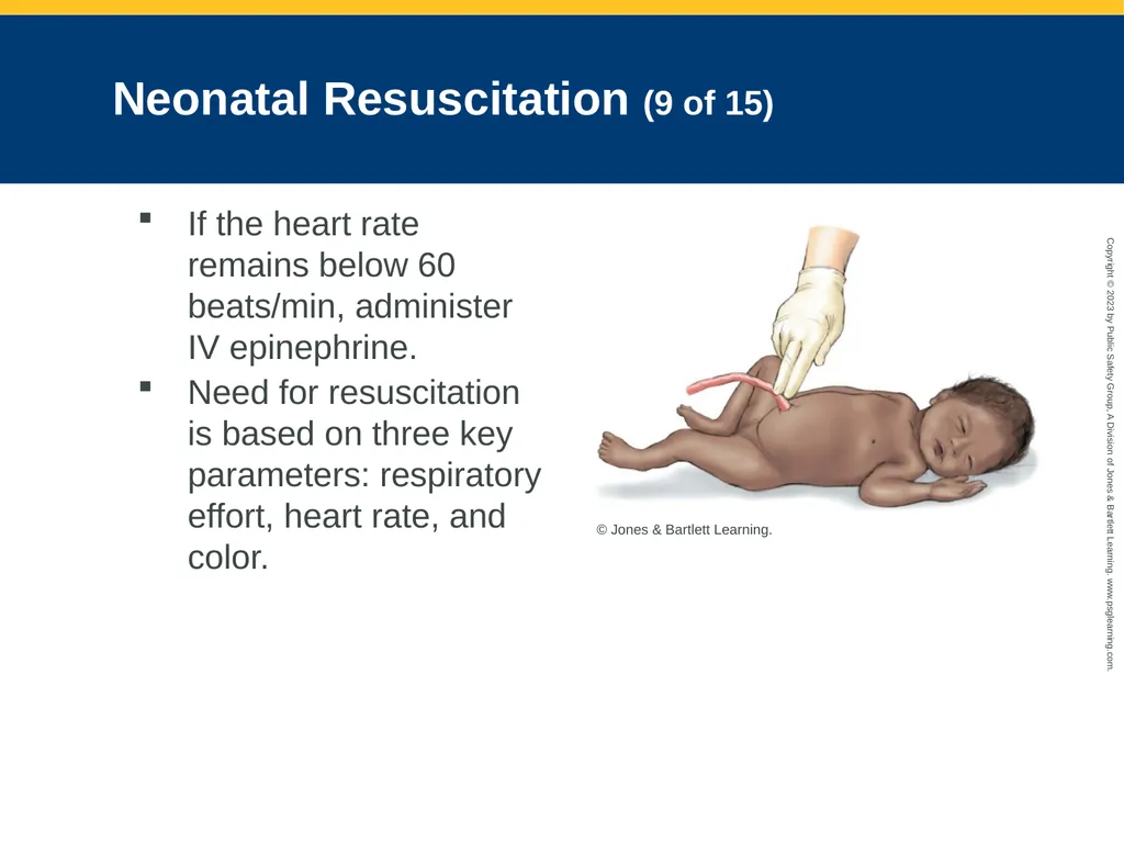 Obstetrics and Neonatal Care CHAPTER 35: Focused - slide 113 of 126