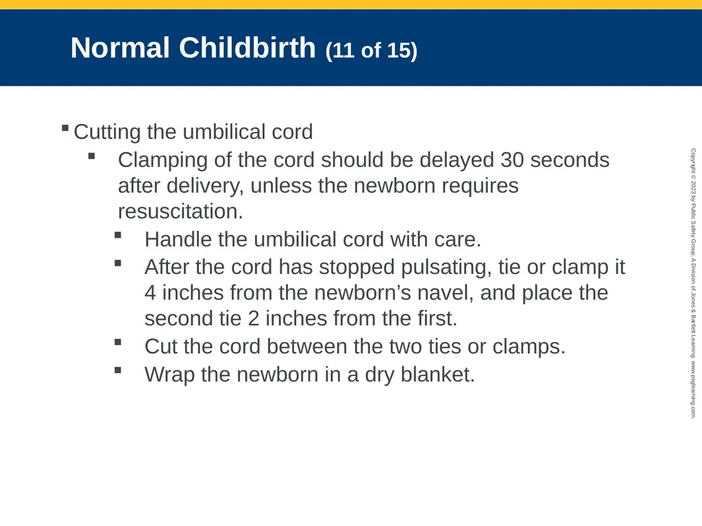 Obstetrics and Neonatal Care CHAPTER 35: Focused - slide 77 of 126