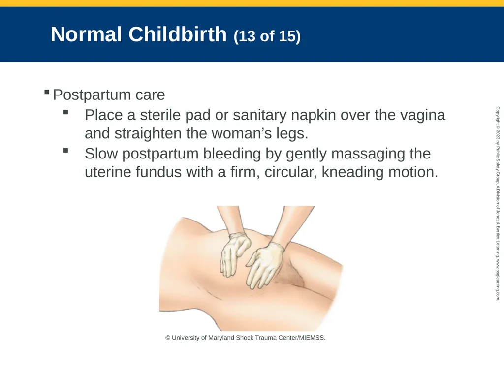 Obstetrics and Neonatal Care CHAPTER 35: Focused - slide 79 of 126