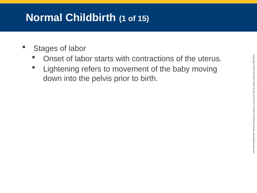 Obstetrics and Neonatal Care CHAPTER 35: Focused - slide 67 of 126