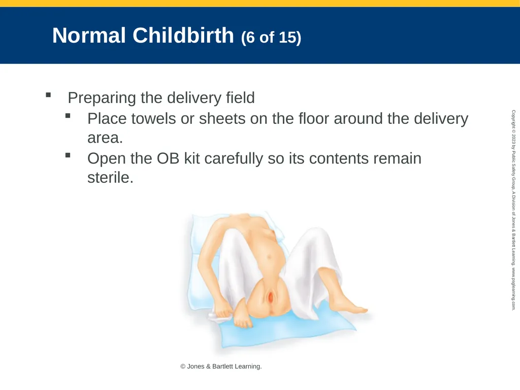 Obstetrics and Neonatal Care CHAPTER 35: Focused - slide 72 of 126