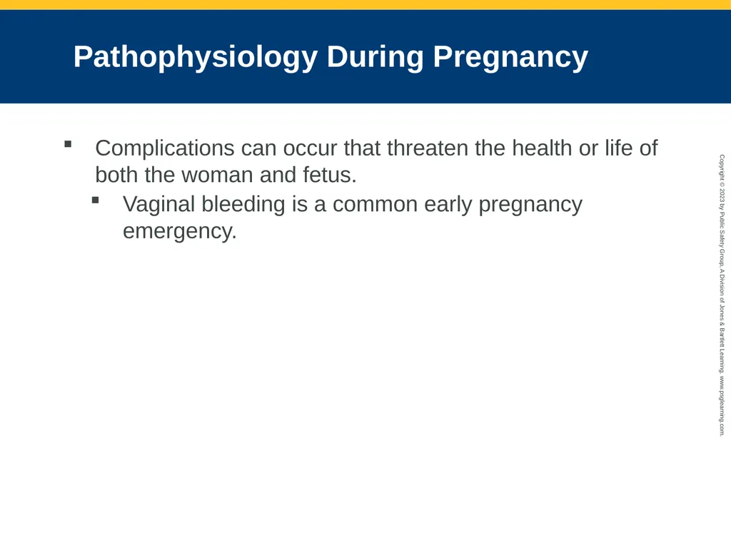 Obstetrics and Neonatal Care CHAPTER 35: Focused - slide 21 of 126