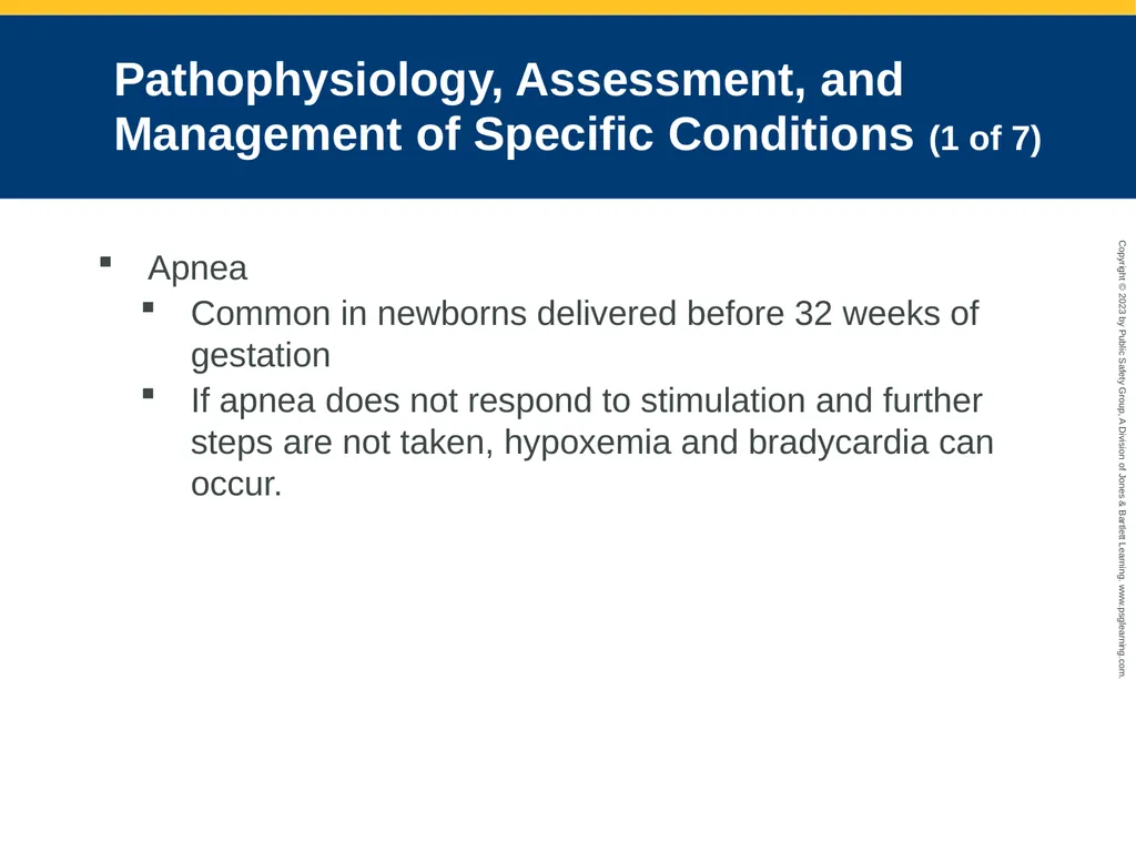 Obstetrics and Neonatal Care CHAPTER 35: Focused - slide 120 of 126