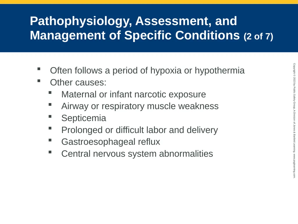 Obstetrics and Neonatal Care CHAPTER 35: Focused - slide 121 of 126
