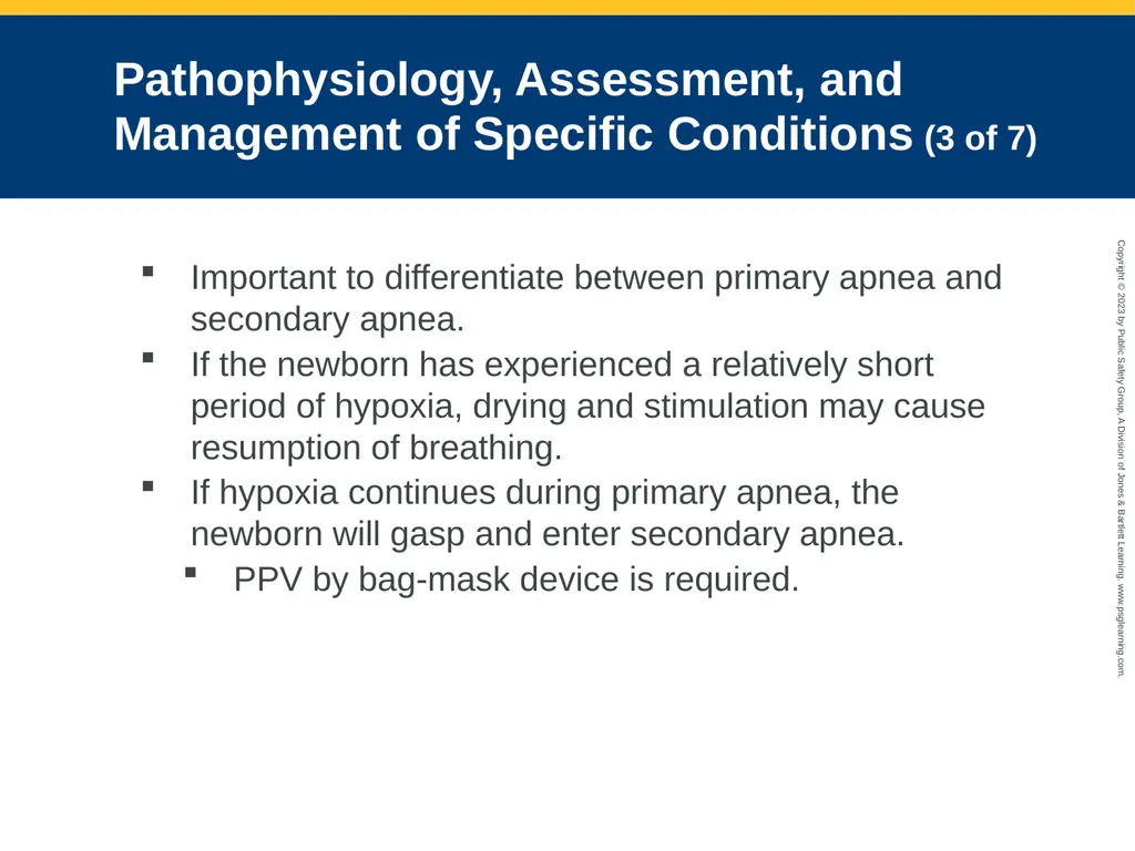 Obstetrics and Neonatal Care CHAPTER 35: Focused - slide 122 of 126