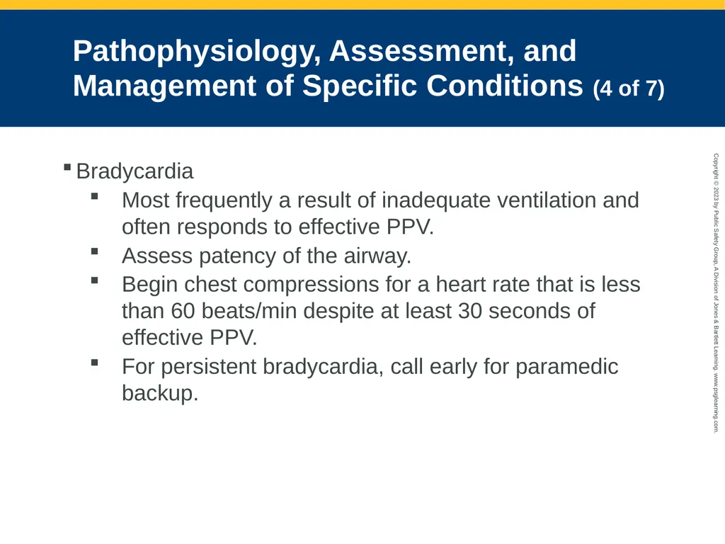 Obstetrics and Neonatal Care CHAPTER 35: Focused - slide 123 of 126