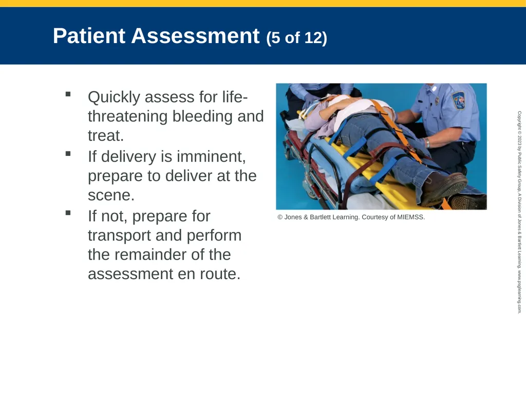 Obstetrics and Neonatal Care CHAPTER 35: Focused - slide 54 of 126