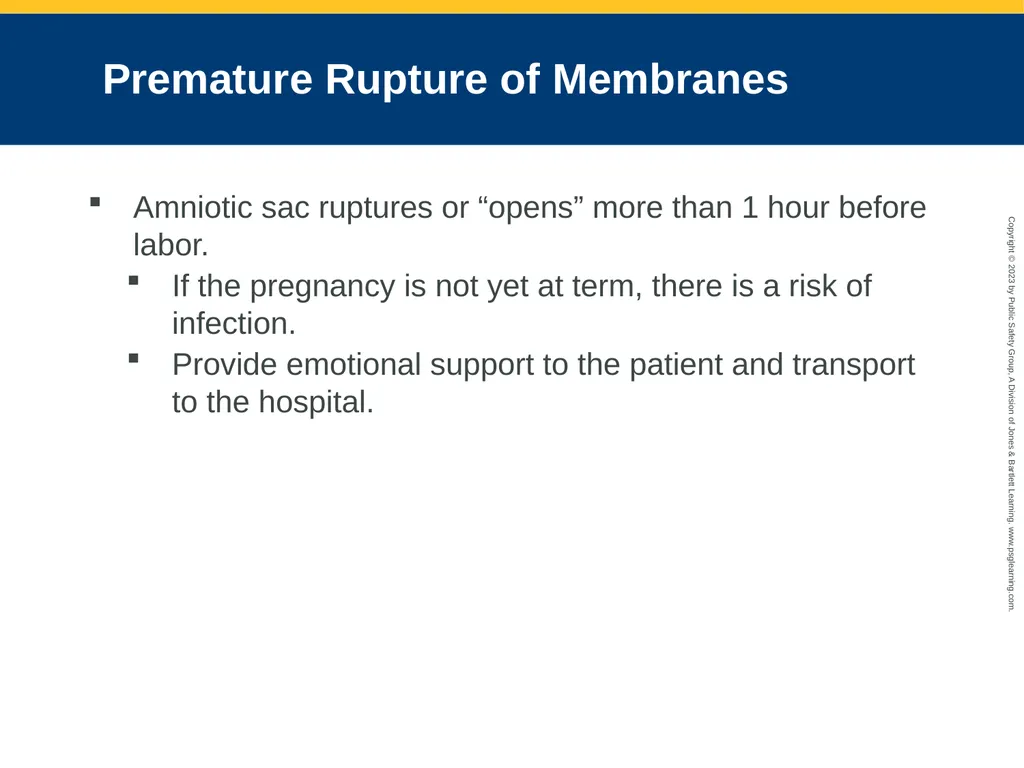 Obstetrics and Neonatal Care CHAPTER 35: Focused - slide 42 of 126