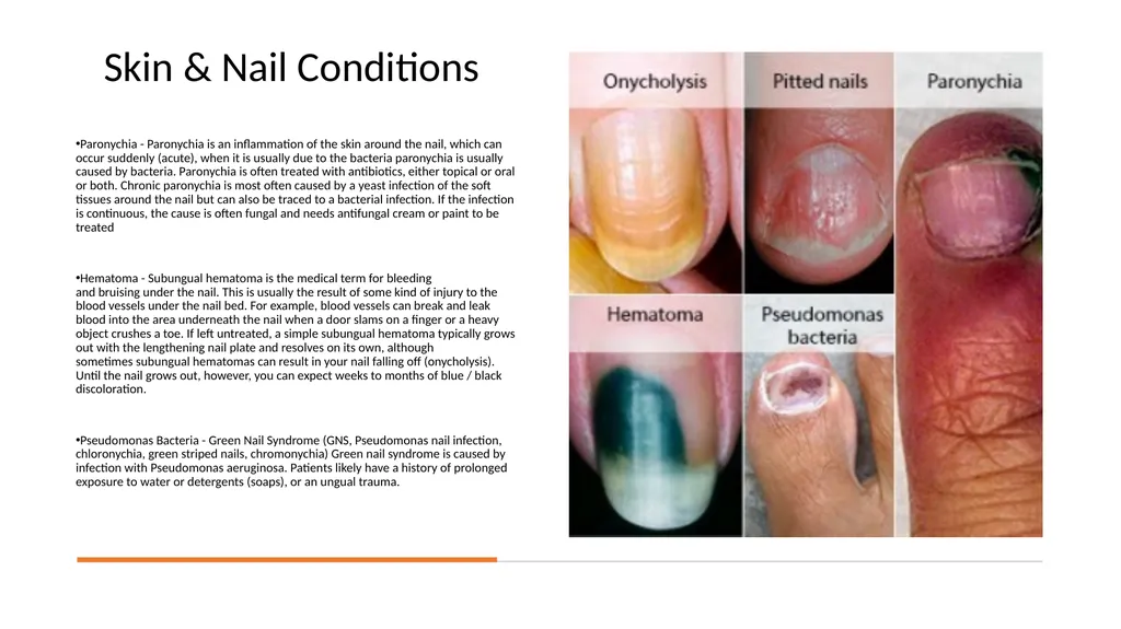 Manicure & Pedicure Introduction Manicure & - slide 19 of 40