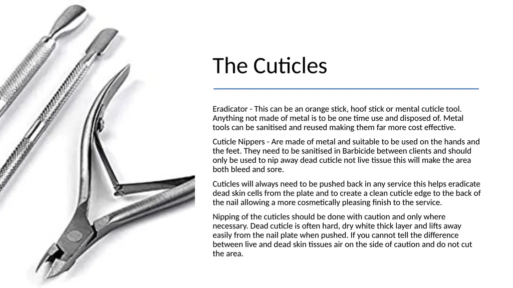 Manicure & Pedicure Introduction Manicure & - slide 26 of 40