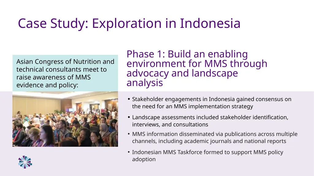 Advancing Multiple Micronutrient Supplementation 1 - slide 52 of 59
