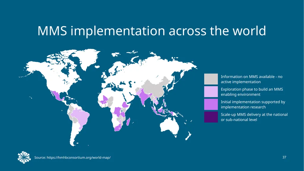 Advancing Multiple Micronutrient Supplementation 1 - slide 35 of 59