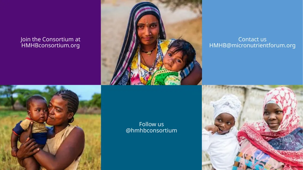Advancing Multiple Micronutrient Supplementation 1 - slide 59 of 59