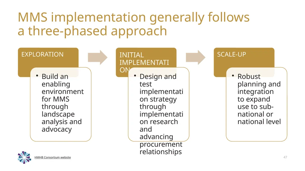 Advancing Multiple Micronutrient Supplementation 1 - slide 45 of 59