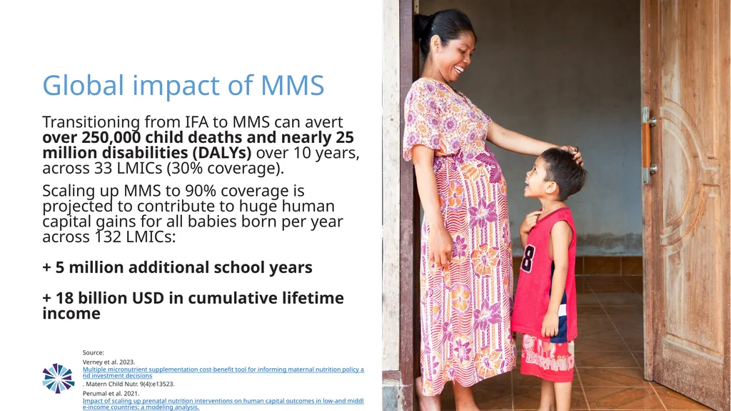 Advancing Multiple Micronutrient Supplementation 1 - slide 33 of 59