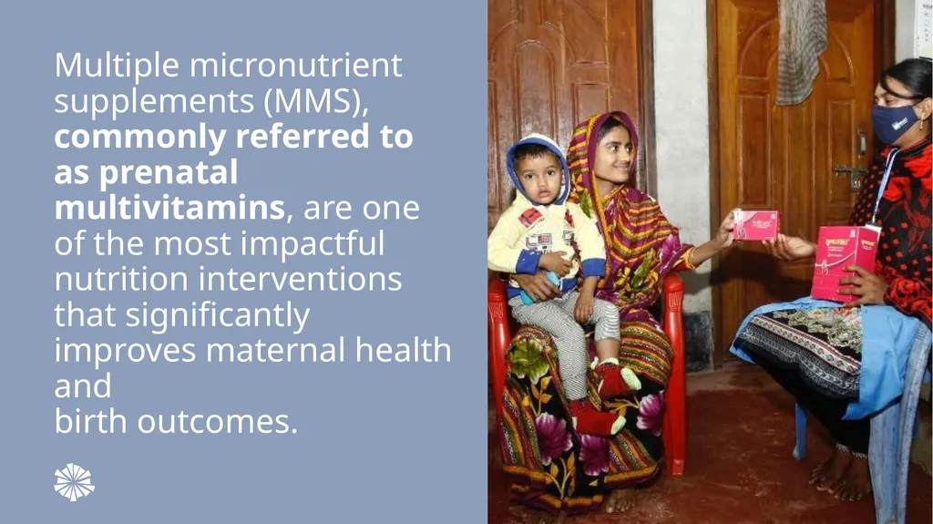 Advancing Multiple Micronutrient Supplementation 1 - slide 22 of 59