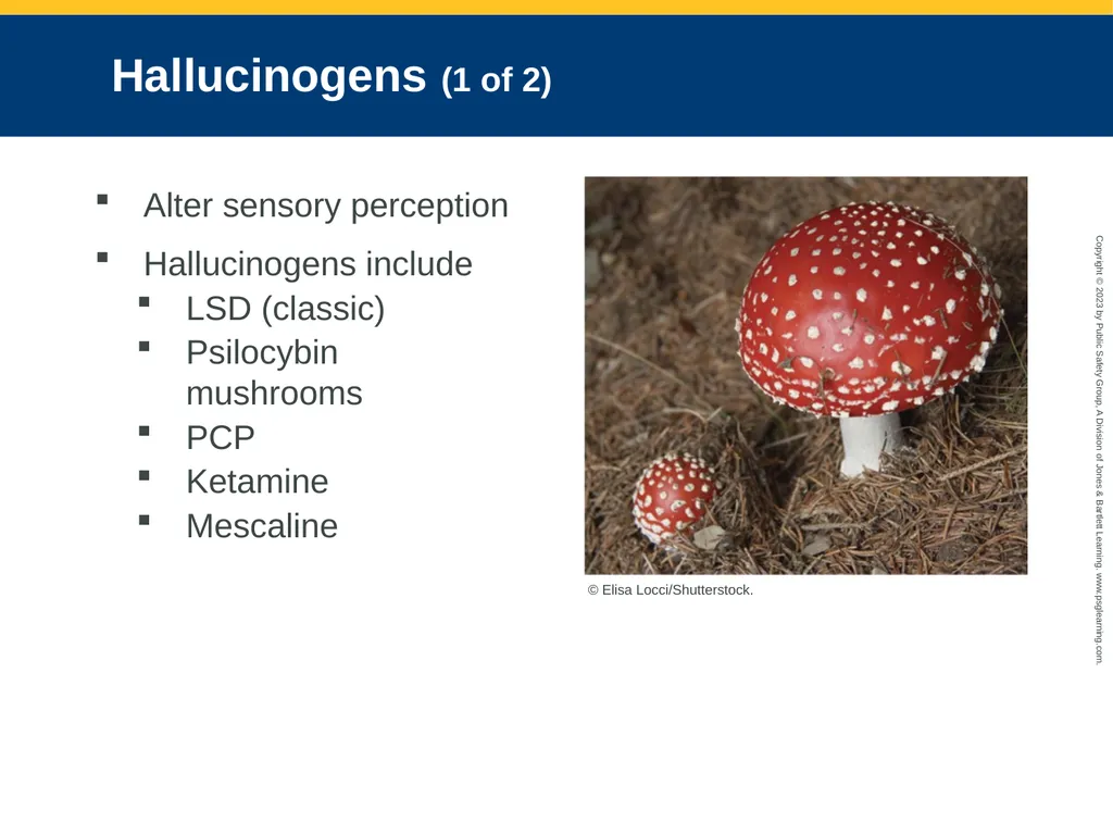 Toxicology CHAPTER 23: Focused Lecture National - slide 54 of 80