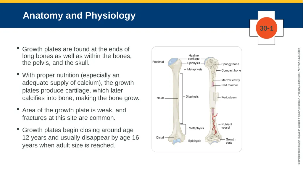 CHAPTER 30 Pediatric Emergencies The following - slide 19 of 105