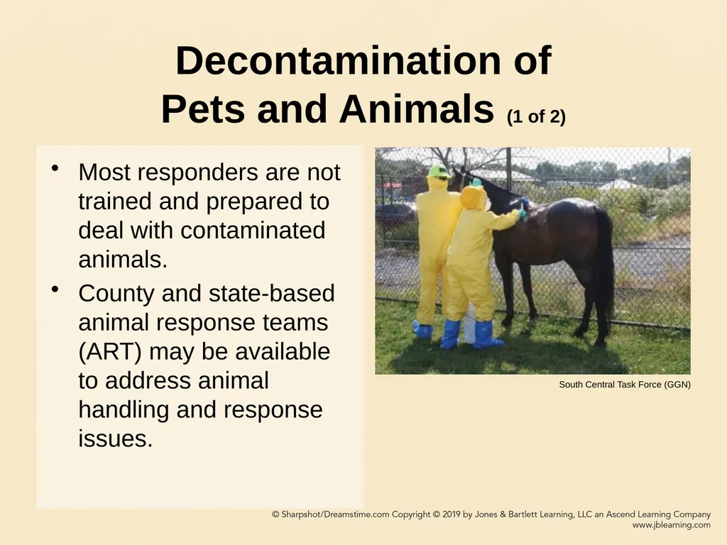 CHAPTER 11 Decontamination Learning Objectives - slide 59 of 73