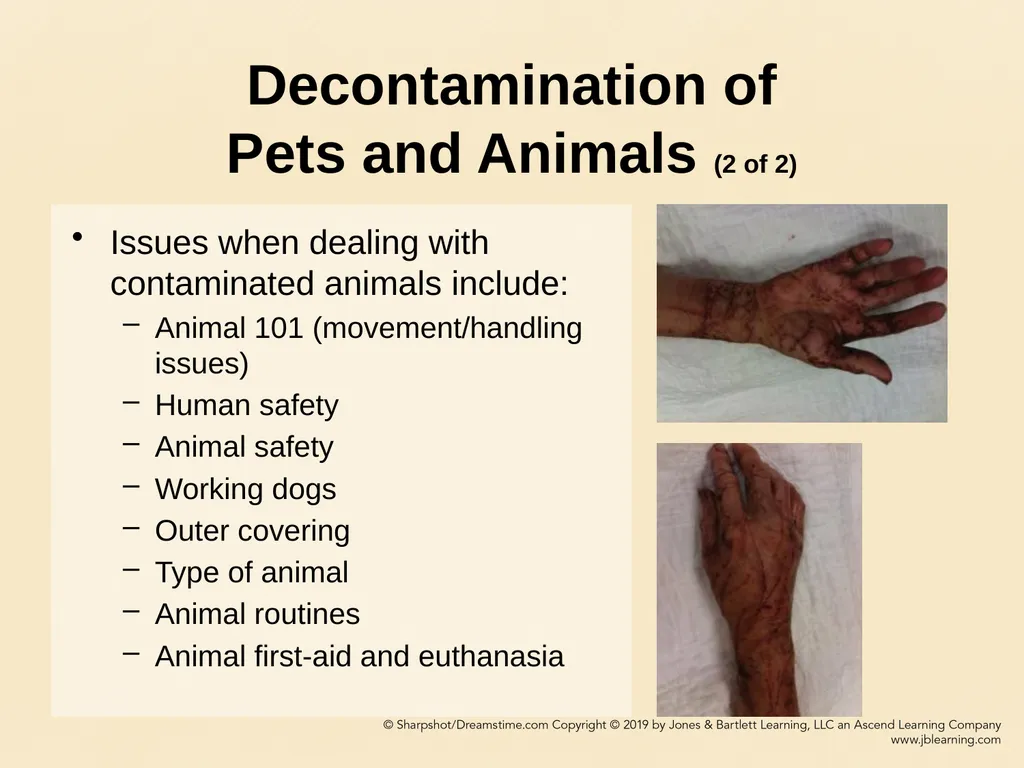 CHAPTER 11 Decontamination Learning Objectives - slide 60 of 73