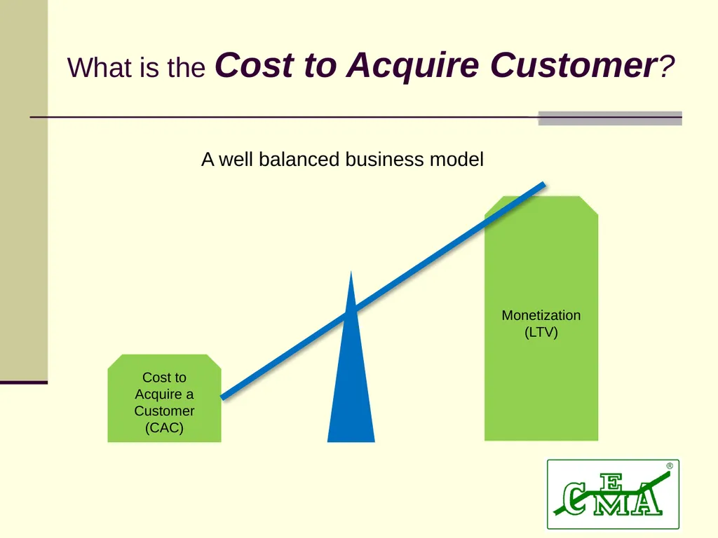 CEMA Dan Fannin: VP Business Process Excellence @ - slide 21 of 24