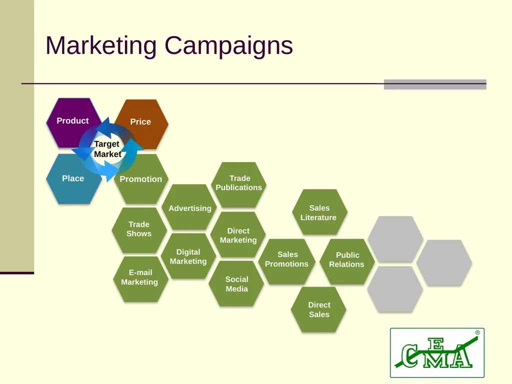 CEMA Dan Fannin: VP Business Process Excellence @ - slide 3 of 24