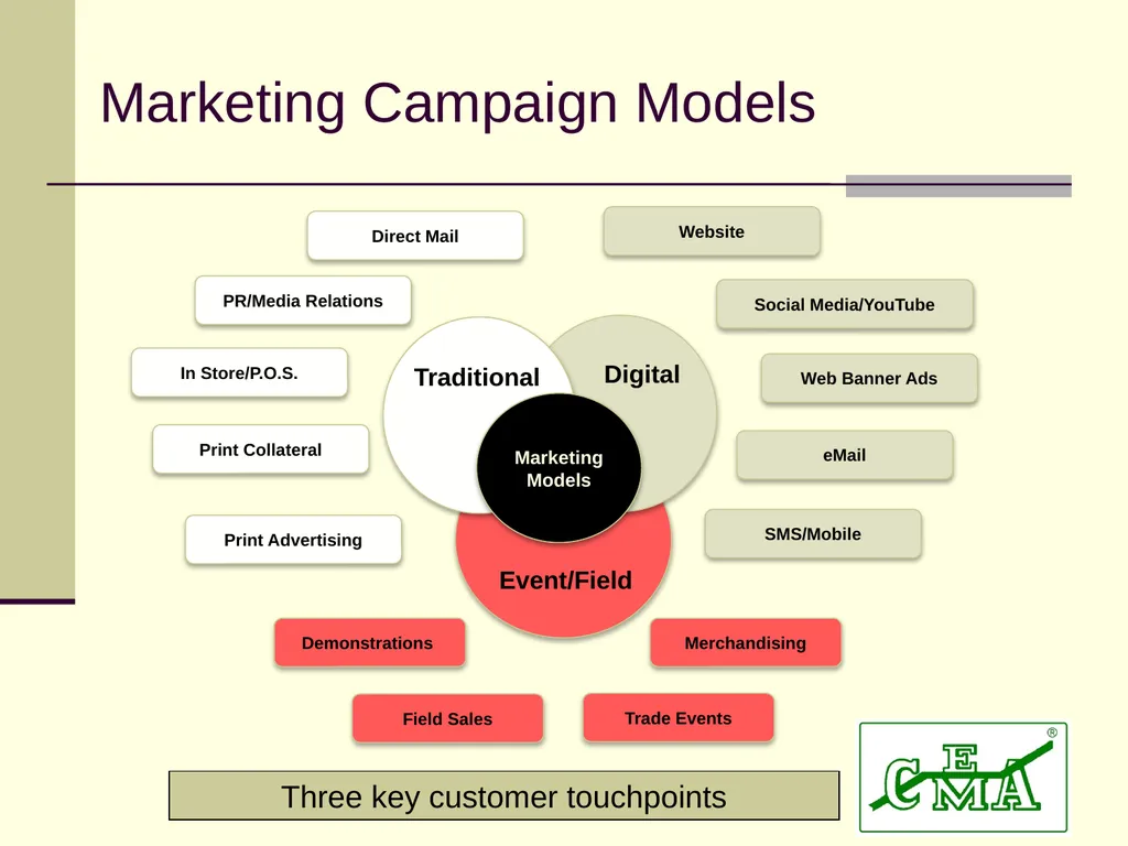 CEMA Dan Fannin: VP Business Process Excellence @ - slide 4 of 24