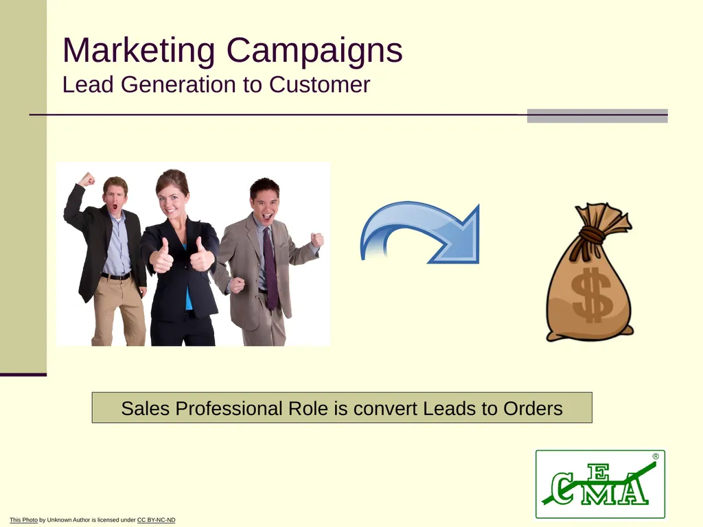 CEMA Dan Fannin: VP Business Process Excellence @ - slide 7 of 24