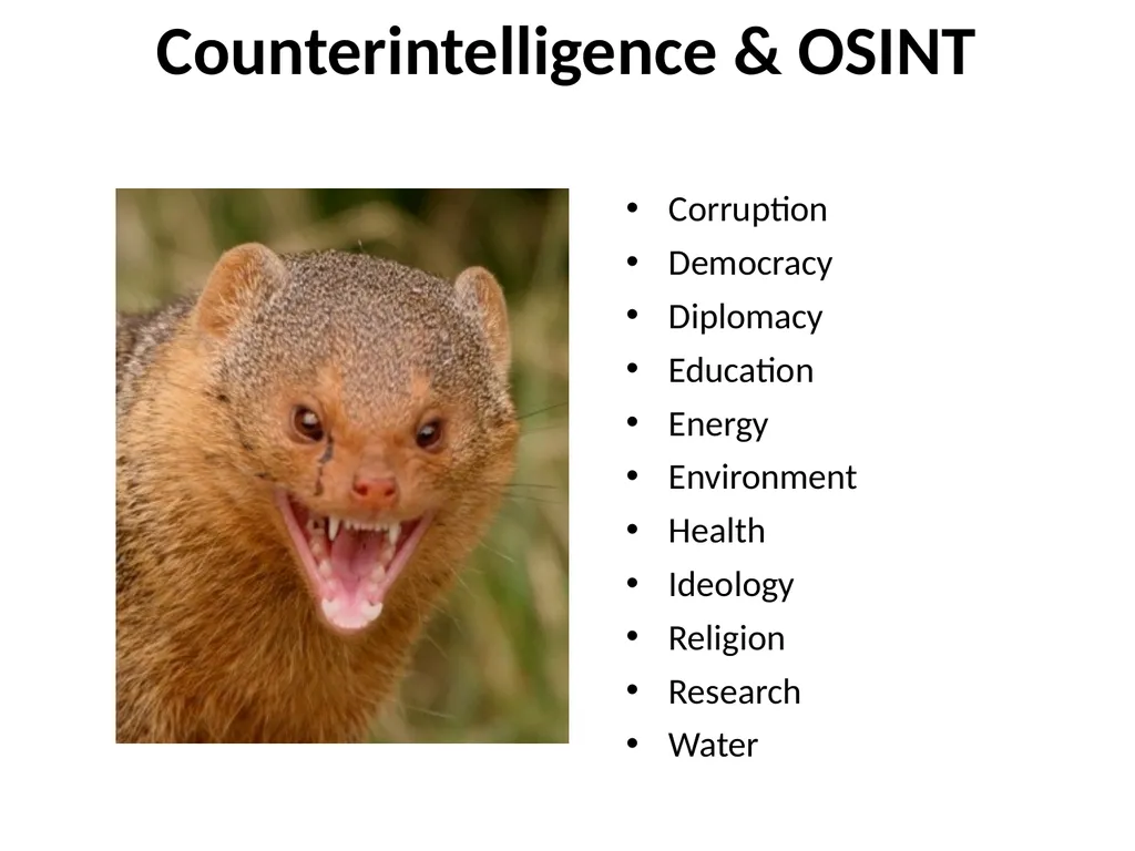 Open Source Intelligence (OSINT) Done Right - slide 37 of 40
