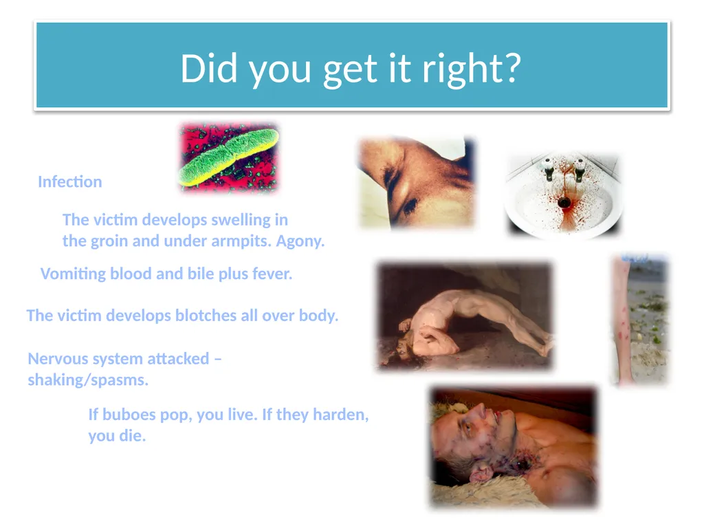 The Black Death Learning Objective: To explain - slide 9 of 12