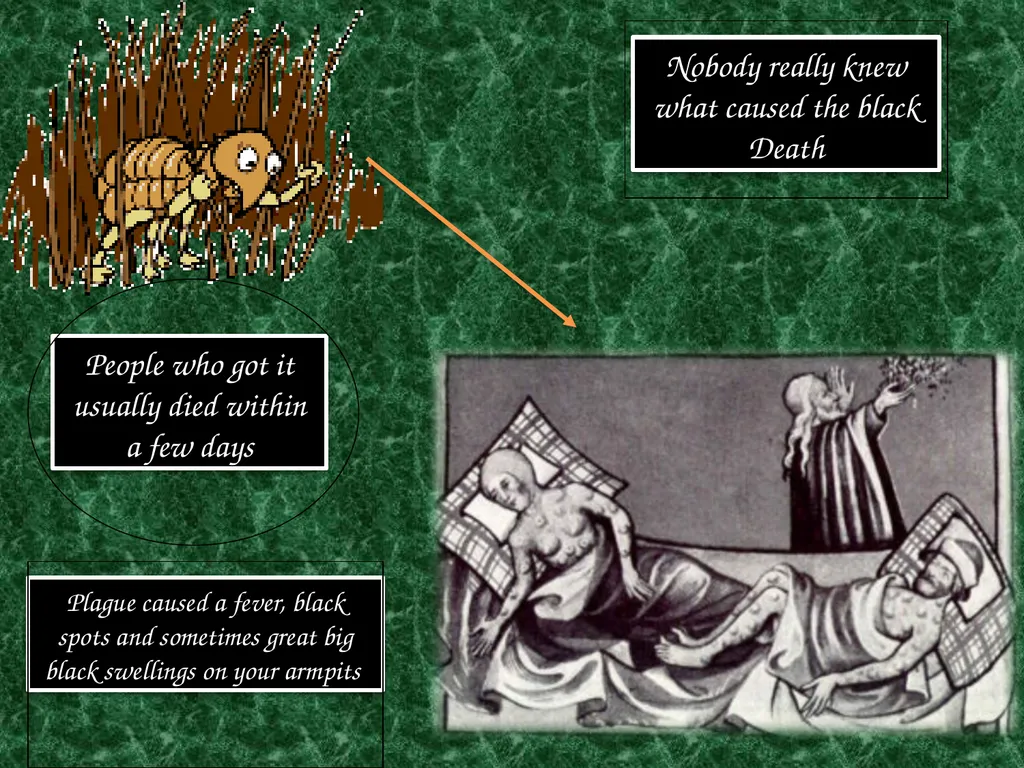 The Black Death Learning Objective: To explain - slide 6 of 12