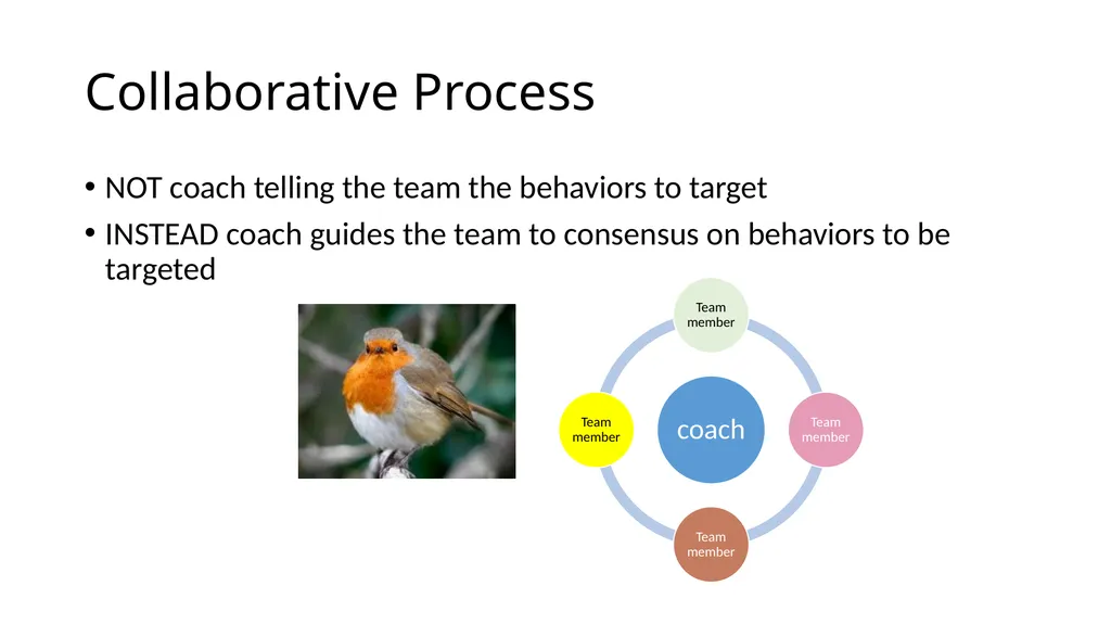 E16-The Prevent-Teach-Reinforce FBA/BIP Model for - slide 29 of 73