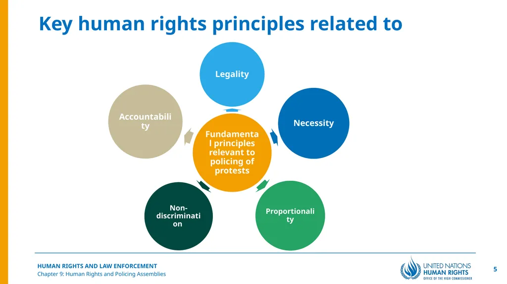 Human Rights and Policing Assemblies Chapter 9 2 © - slide 5 of 15