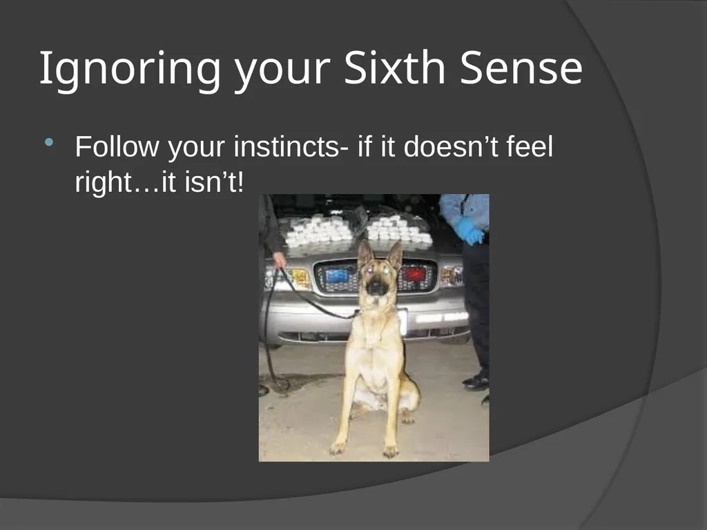 Traffic Stop Training CBT A Law Enforcement Course - slide 17 of 34