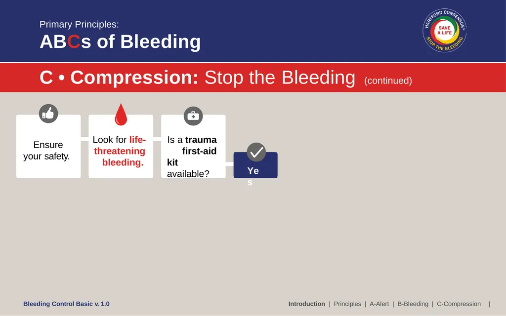 Bleeding Control (B-Con) Basic Copyright © 2017 by - slide 21 of 61