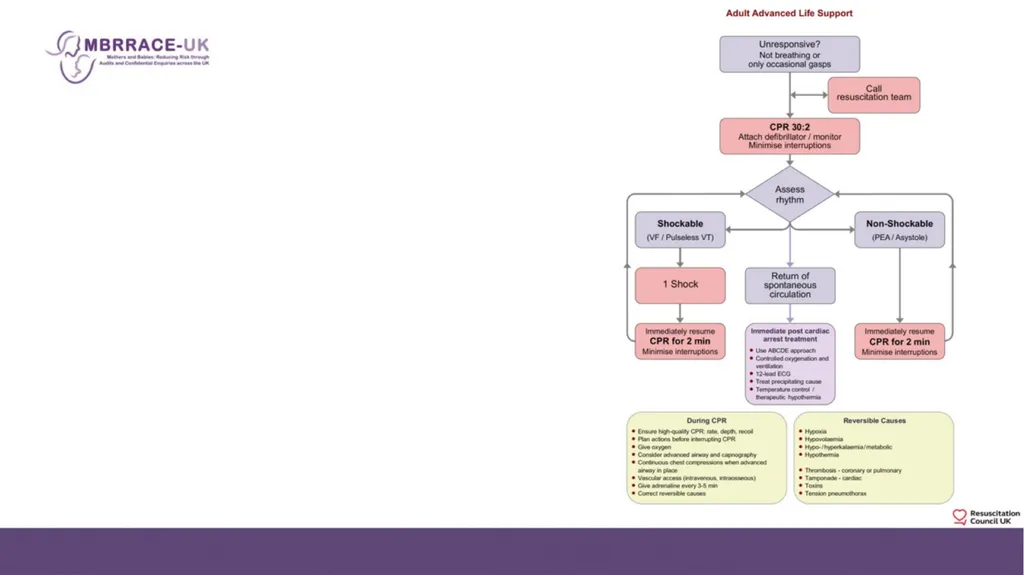 Vignette Vignette Variation in management of - slide 8 of 19