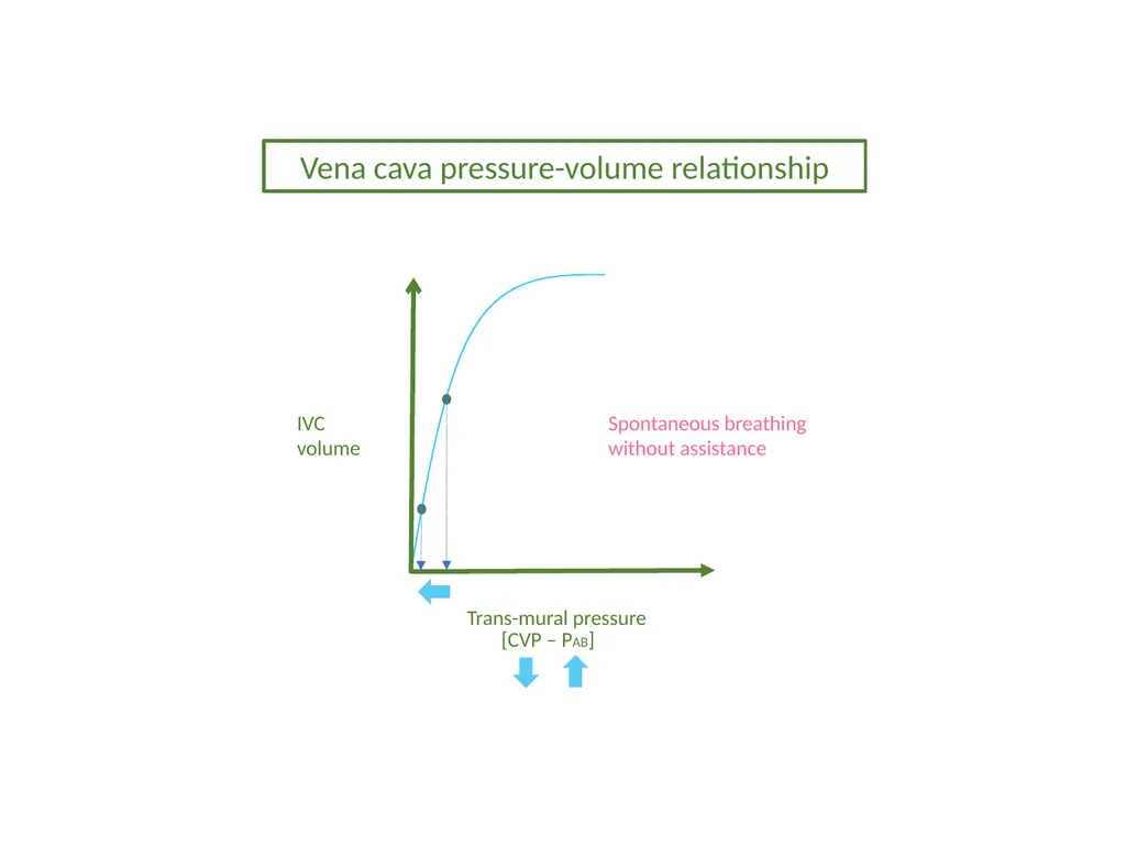 IVC Collapse Physiology knowing the caveats & - slide 4 of 33