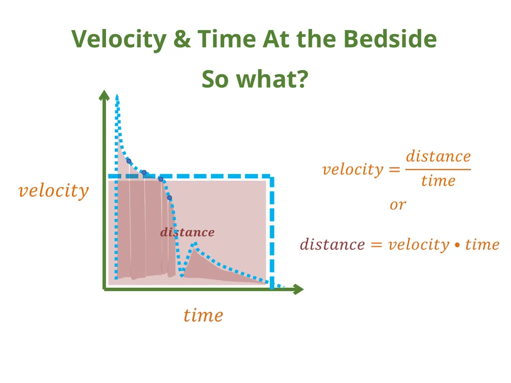 IVC Collapse Physiology knowing the caveats & - slide 19 of 33