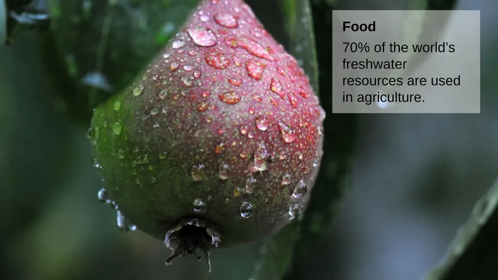 Fresh Water Less than 1% of the world’s water is - slide 7 of 20