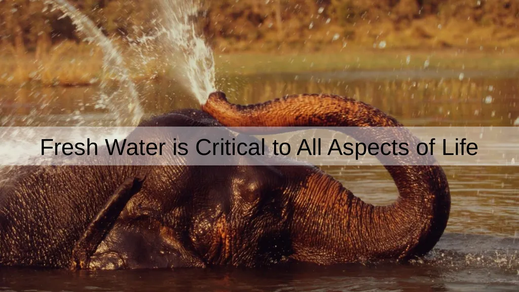 Fresh Water Less than 1% of the world’s water is - slide 6 of 20