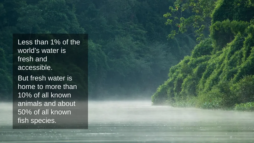 Fresh Water Less than 1% of the world’s water is - slide 3 of 20